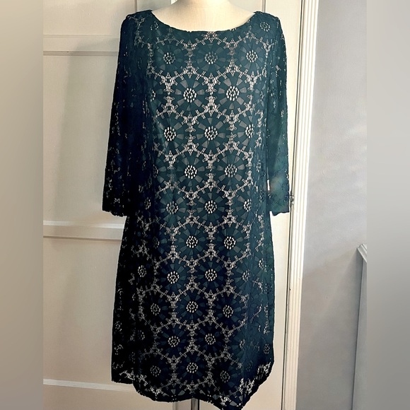 NWT•retro lace shift dress•jessica Howard•sz 16 - Picture 4 of 12